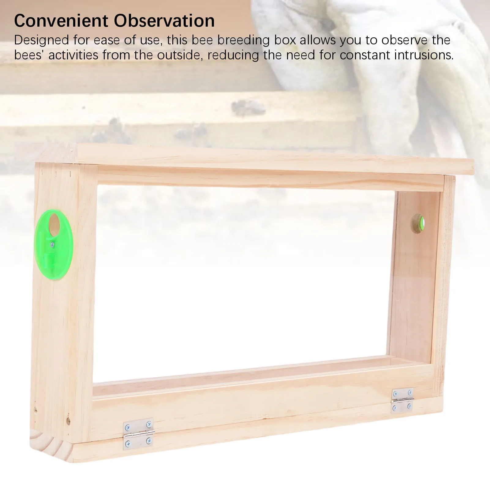 Bee Breeding Box Convenient Transparent Two Sides Compact Beekeeping Box Practical Educational for Beekeeping Supplies