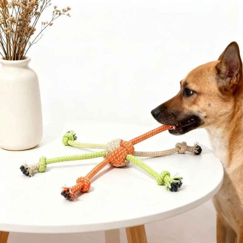 Thumbnail 2 - #22 Top 50 Dog Rope Toys Worth Buying In 2026