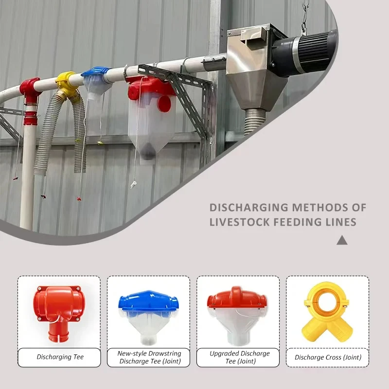 

Automatic Pig Farm Auger Feeding System With PVC Pipe
