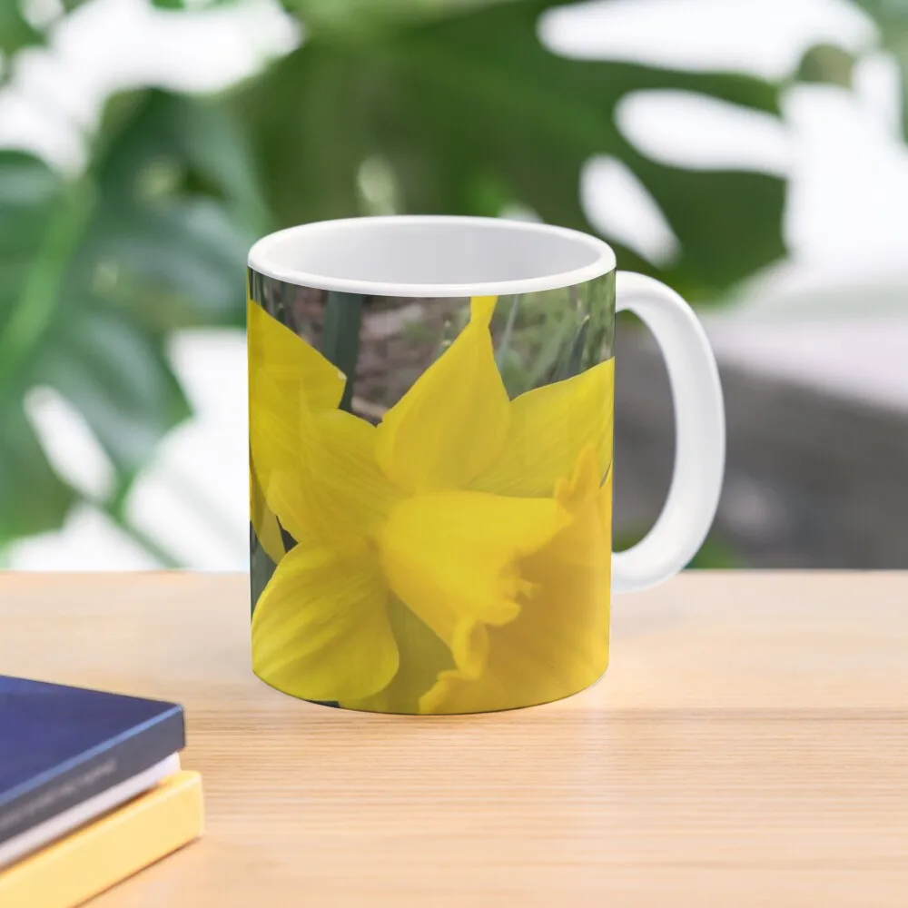 

Кофейная кружка My spring daffodilsCoffee, персонализированная кружка, керамическая кофейная кружка