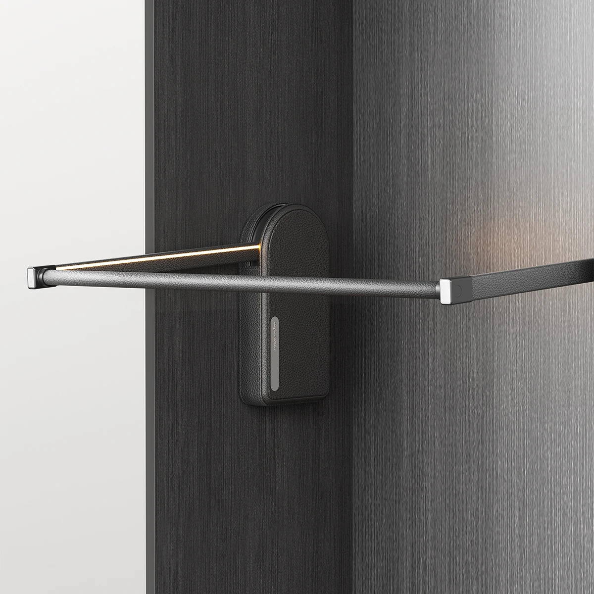 TLF Reserve  ODM OEM Hot Sell Electric Lift Hanger  Smart  Pull Down Shelf for Wardrobes Intelligent Lift Shelf of Wardrobes
