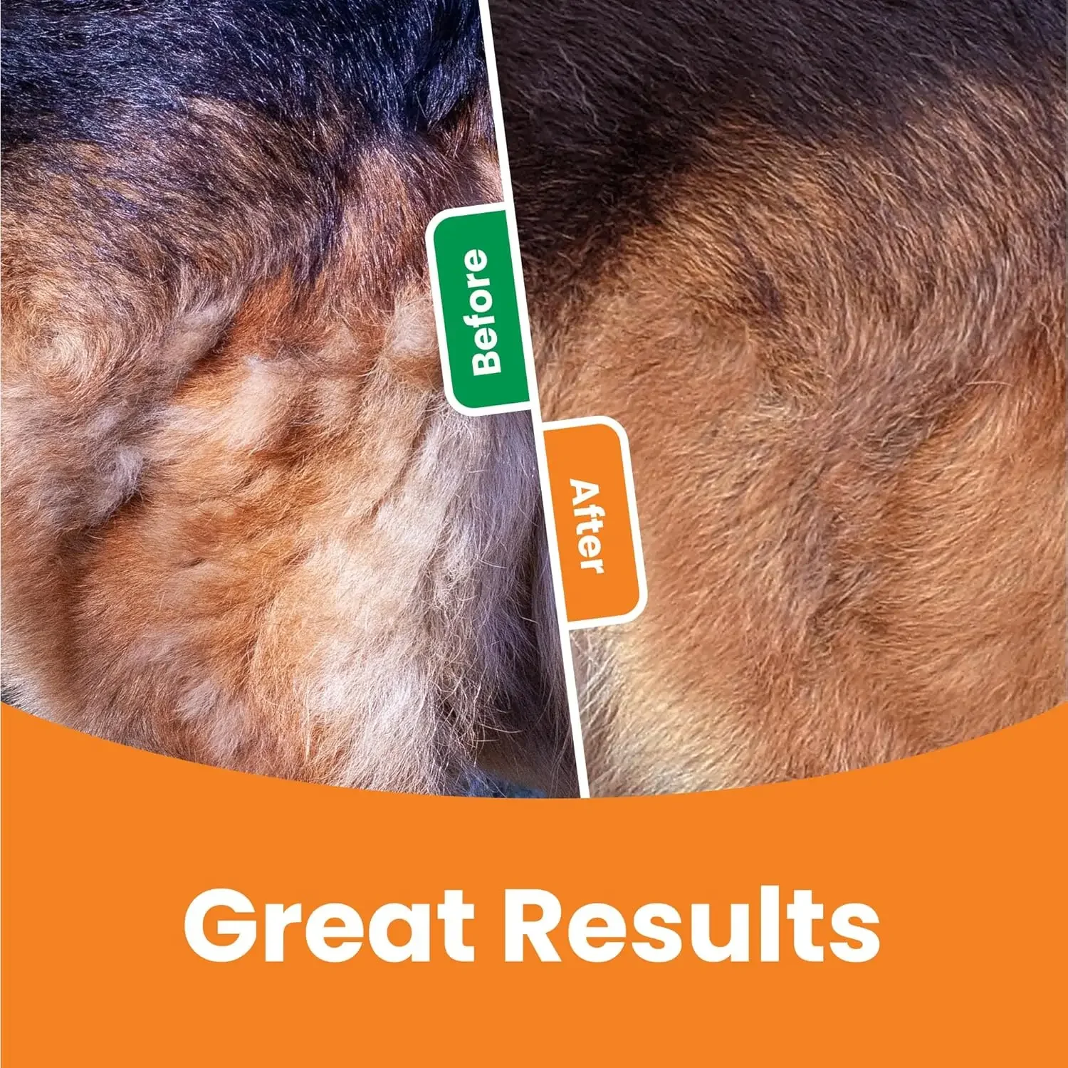 Blue 3-in-1 pet grooming brush supplier detail 6