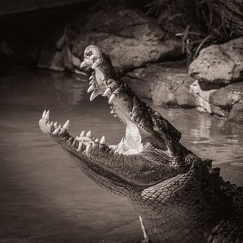 

Для MJX 1/16 16208 16210 H6V3 M163 RC автомобильные детали металлический комплект обновления