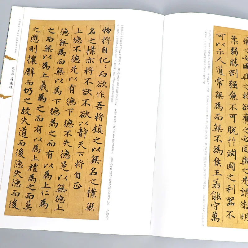 Cahier d'écriture classique chinois, Zhao Mengfu, Yan Zhenqing, Running Regméthanol Pier, Cursive Pier, Calligraphy Practice Ple