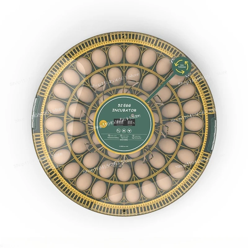 Colorful 12V DC Egg Incubator for Home Use and Portable Poultry Hatching