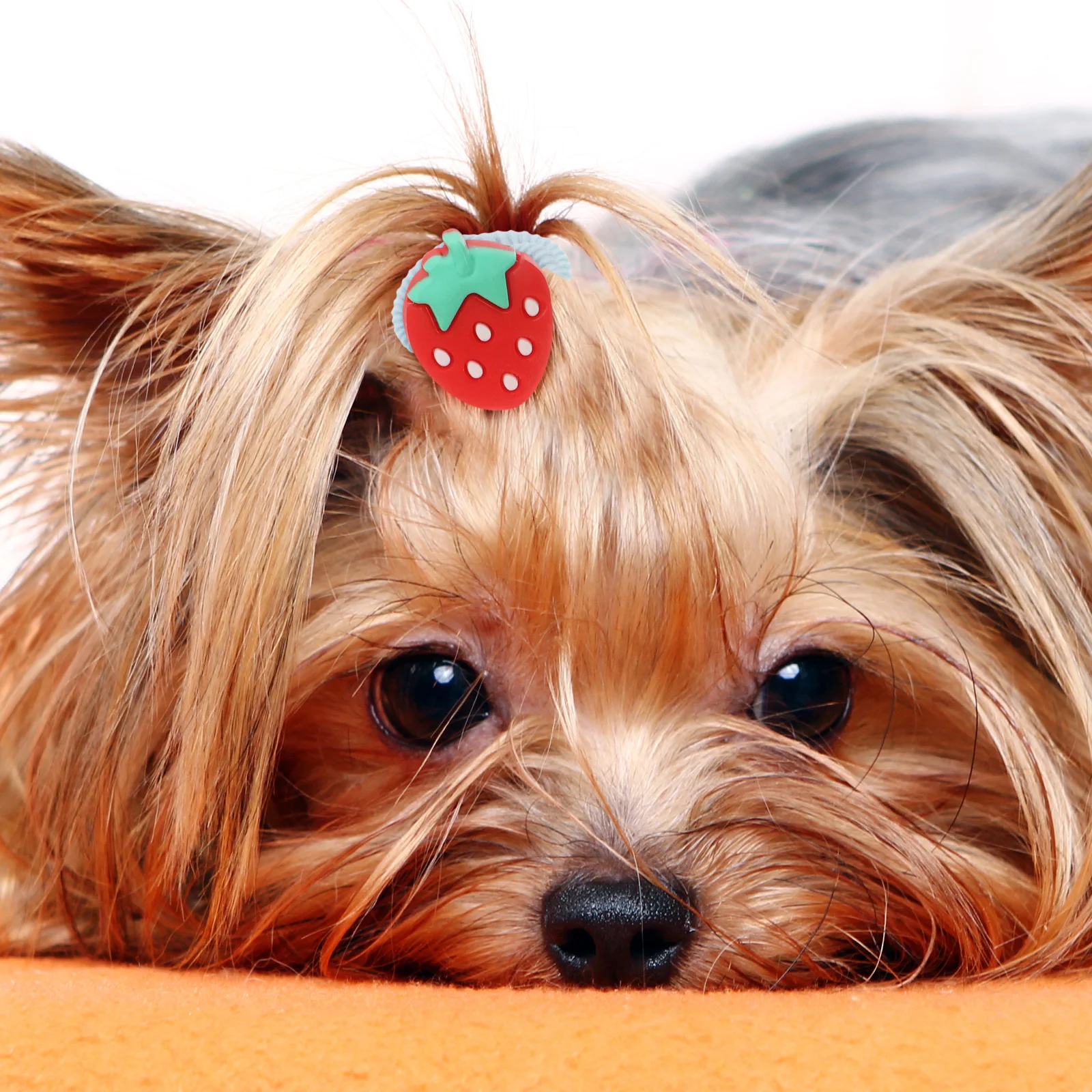 

10pcs Dog Rubber Band Cute Hair Ties Cartoon Elastic Decorative Scrunchies Pet Supplies Long Haired Dog Bows Durable Multiple