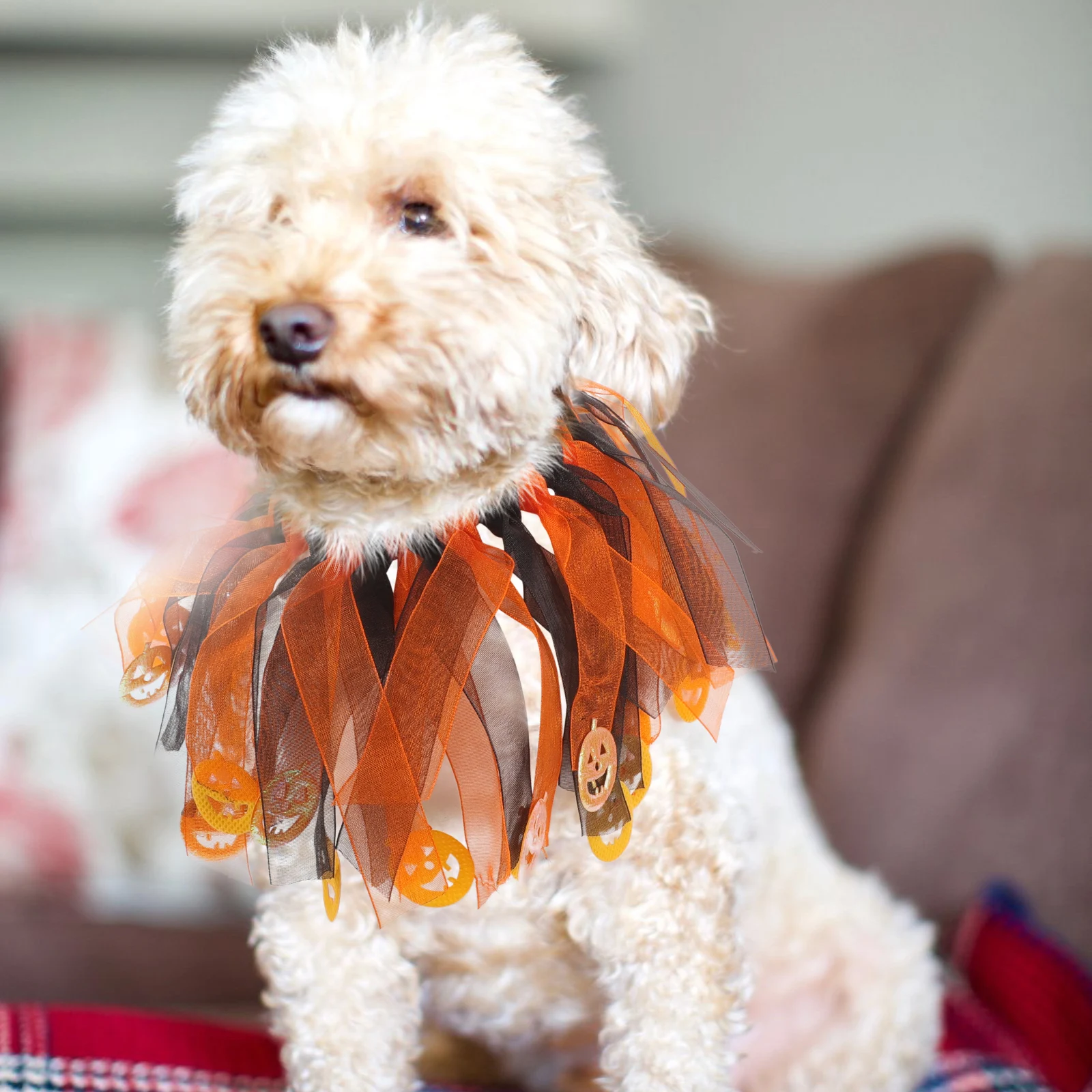 

Pet Collar Halloween Themed Cat Decoration Cats and Dogs Collars Accessories Polyester Decorations Costume Kitten