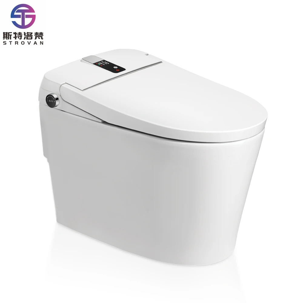 

HKZX Luxury White Siphon Jet Flushing Automatic Smart Toilet Floor Mounted