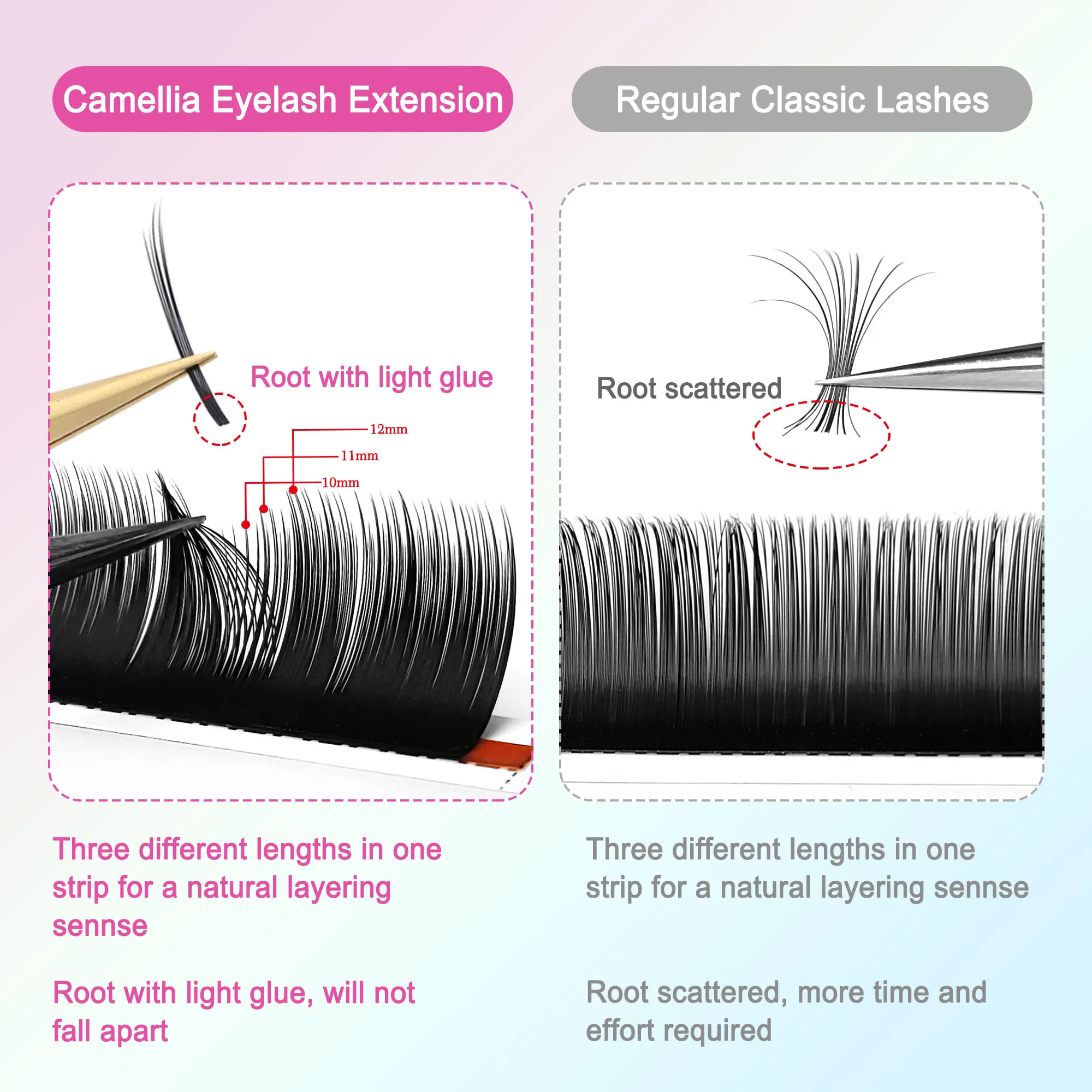 CoMango B/C/D カーブのツバキまつげエクステンション、カシミヤの多層自然ボリュームファン、フェイクまつげクラスター