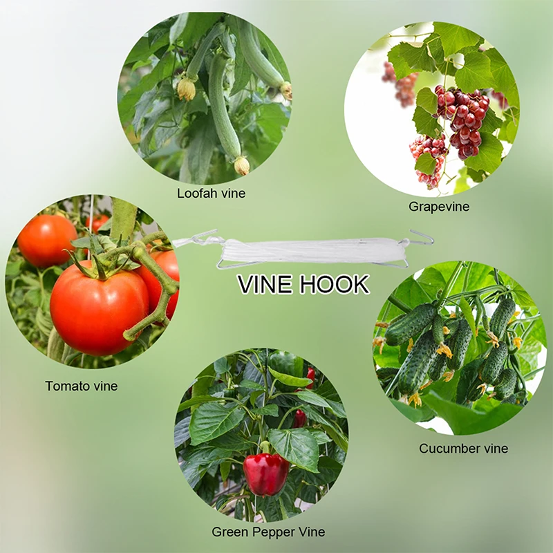 イヤーフッククリップ植物トレリス、庭の野菜パッチ、果物のフック、クランプ、園芸用品、1個