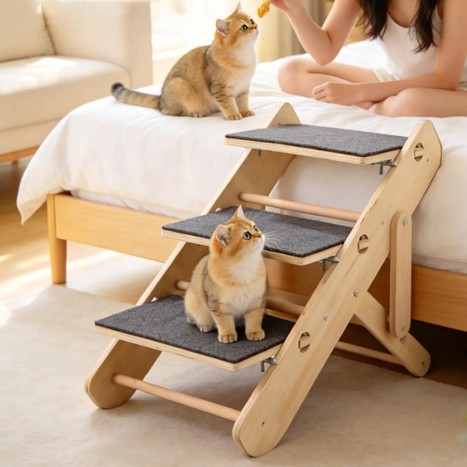 Thumbnail 3 - #8 Compare Puppy Ramps Before You Buy