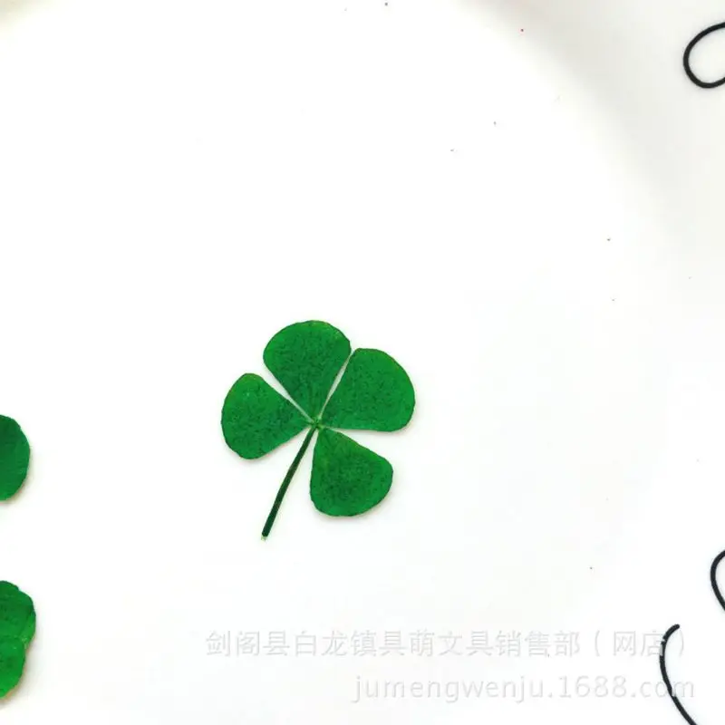 Q81D 10 Pcs Real Dried Pressed 4-leaf Clover Dried Flowers Leaves Epoxy Mold Fillers for DIY Resin Crafts,Soap Candle Making