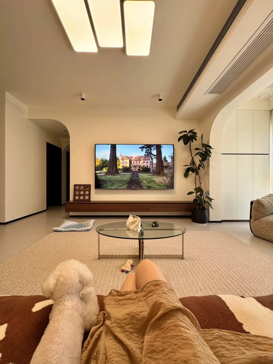 

Аппарат ударно-волновой терапии (УВТ) 2026 для эффективного снятия боли