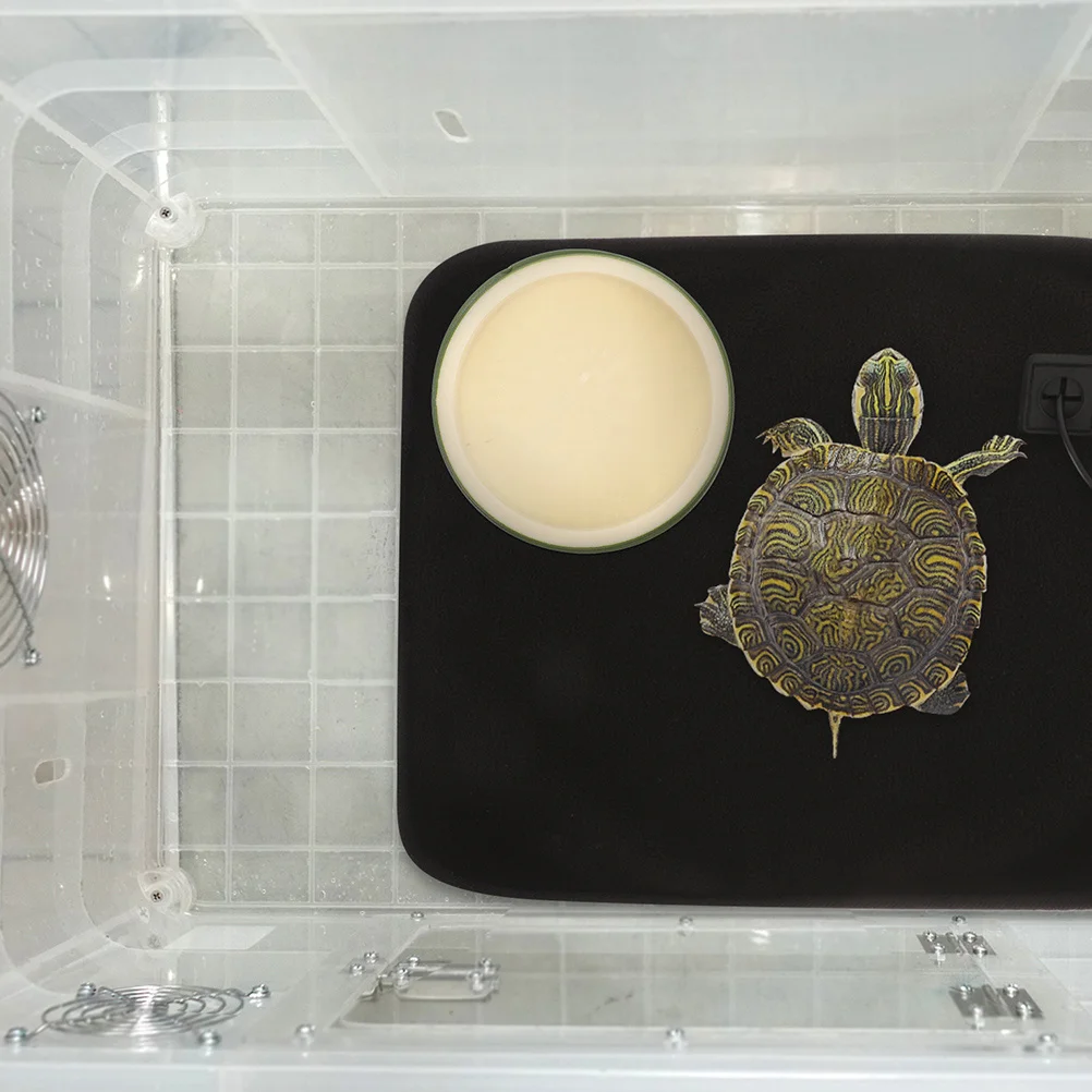 

Bamboo Joint Feeding Bowl For Reptiles Plastic Dish Lizard Food Bowl Snake Tank Accessories Tortoise Supplies