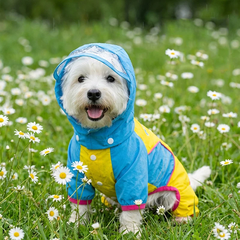 Teddy Hooded Clothes Waterproof Raincoat for Small and Medium Dogs for Rainy Days Cute Four-Legged Clothing for Bichon