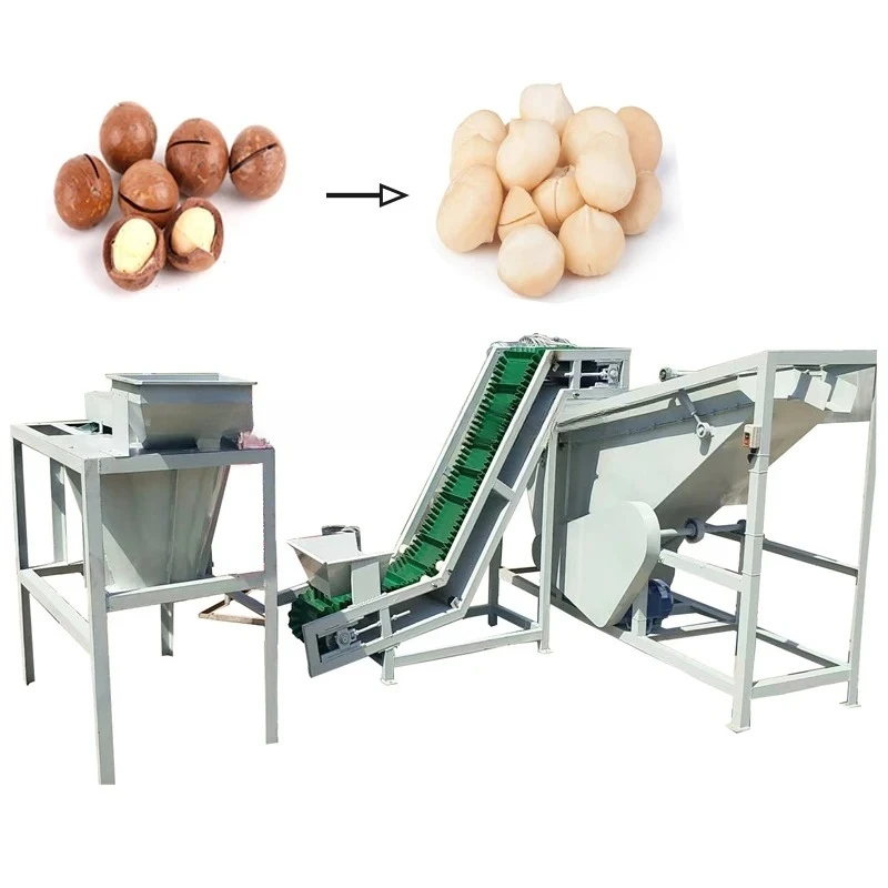 Macadamia Nut Color Sorter Machine Macadamia Nut Opening Machine