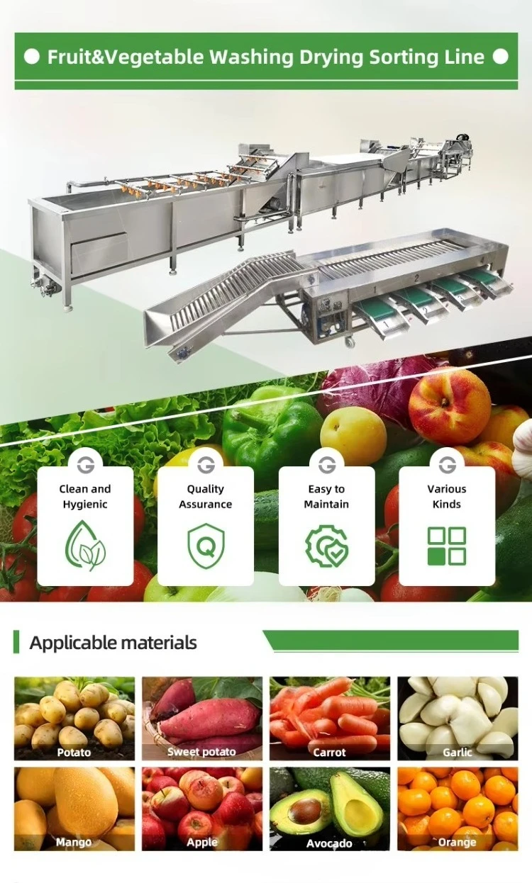 Vortex Mixed Vegetable Carrot Potato Clean Blanching Processing Production Line Leafy Vegetables Washing Drying Line