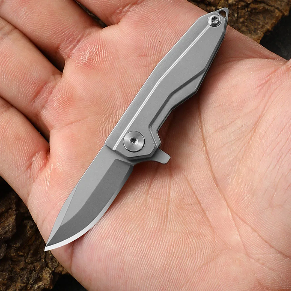 

EDC Mini folding stainless steel small knife, portable pocket, sharp fruit keychain, outdoor unboxing knife