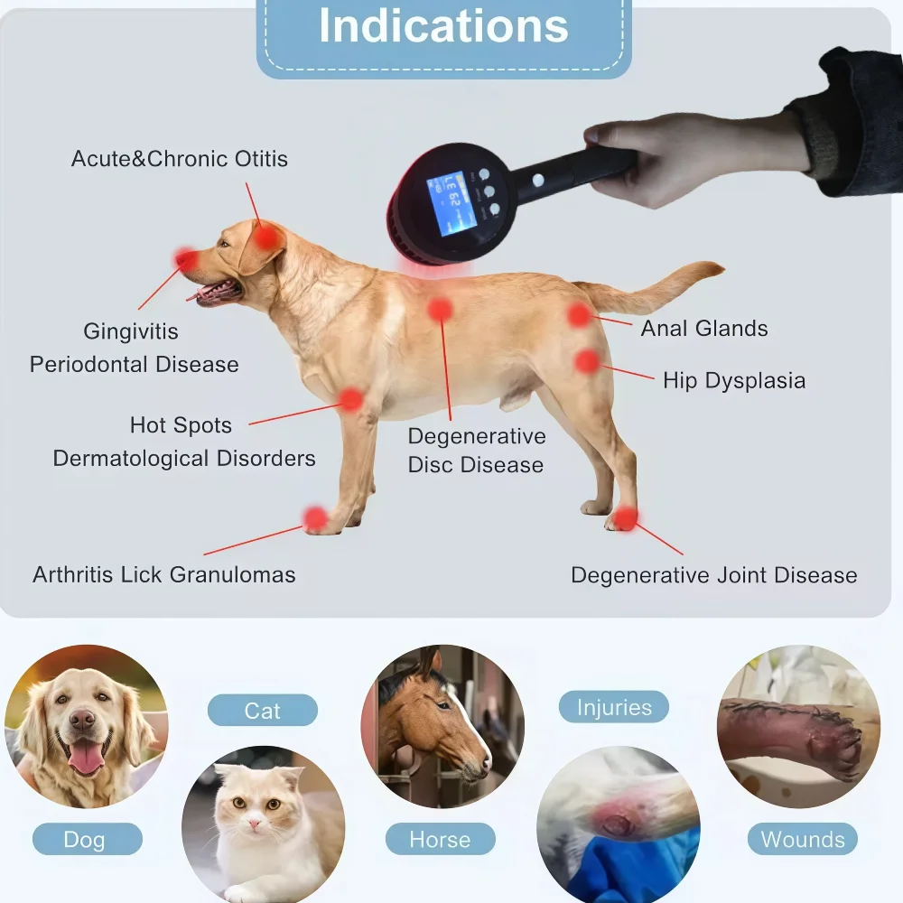 Professional-Grade Veterinary Laser Device 19x650nm & 6x808nm for Fast Treatment of Pain & Inflammation in Dogs Cats Horses