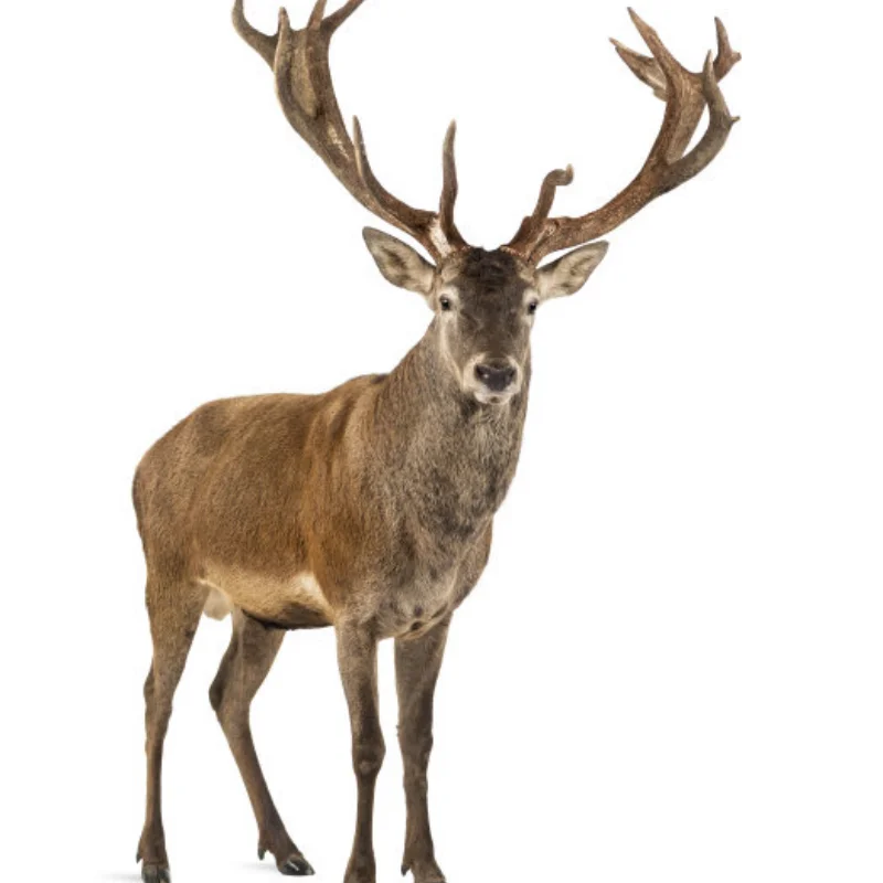 

Латунный корпус портальной оси, латунный противовес для Wltoys 104006 104010 104020 104026 1/10, детали для обновления радиоуправляемого автомобиля, аксессуары