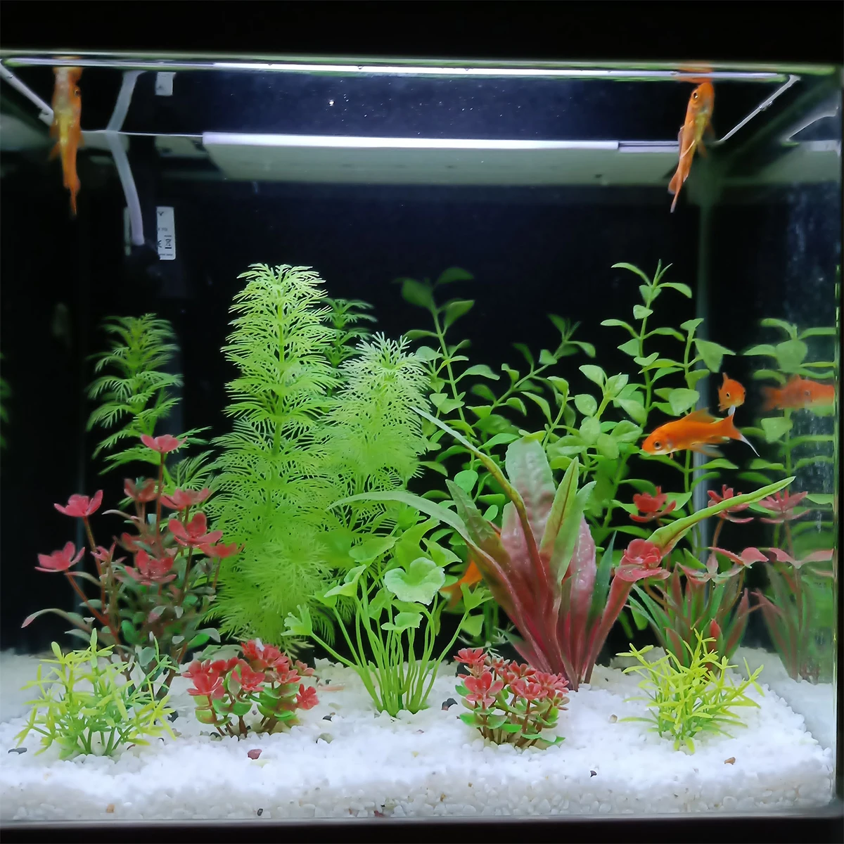 Aquarium Fishland - 11 piece set of fish tank
