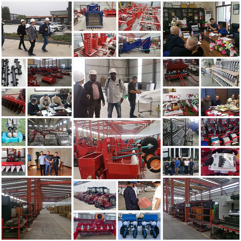 Smart Control Animal Feed Grinding Machine With Anti-Rust Screen for Pasture and Dairy Farm