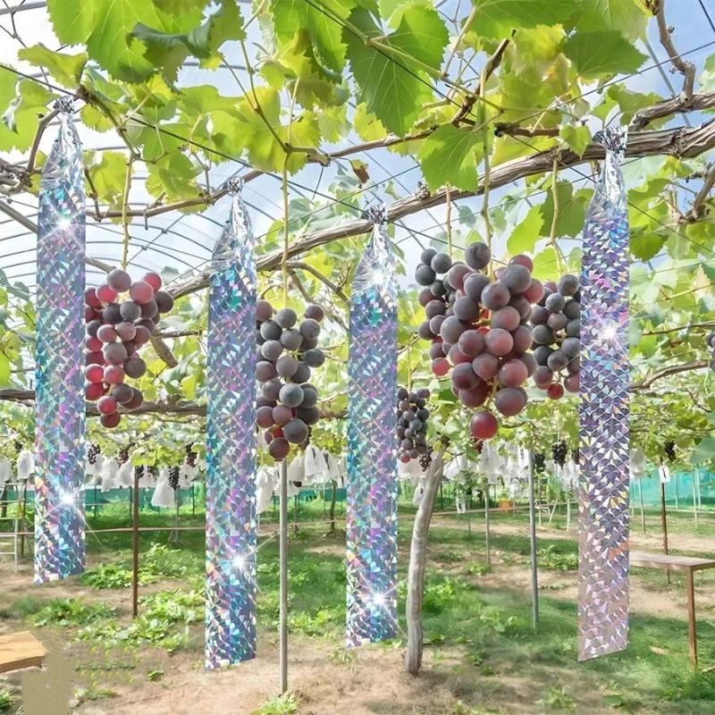 Double Sided Laser Bird Repellent Tape, Effective Bird Deterrent for Garden Farm Orchard Courtyard Use