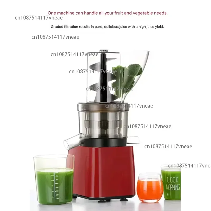 500W Tabletop Slow Juicer Automatic Pulp Ejection Stainless Steel Filter Easy Clean Large Hopper Cold Press for Fruits