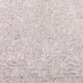 transparent