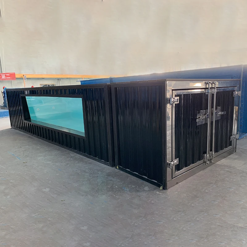 Контейнер для бассейна на заказ, 20 футов, семейный контейнер из стекловолокна для над землей, дизайн бассейна с платформой