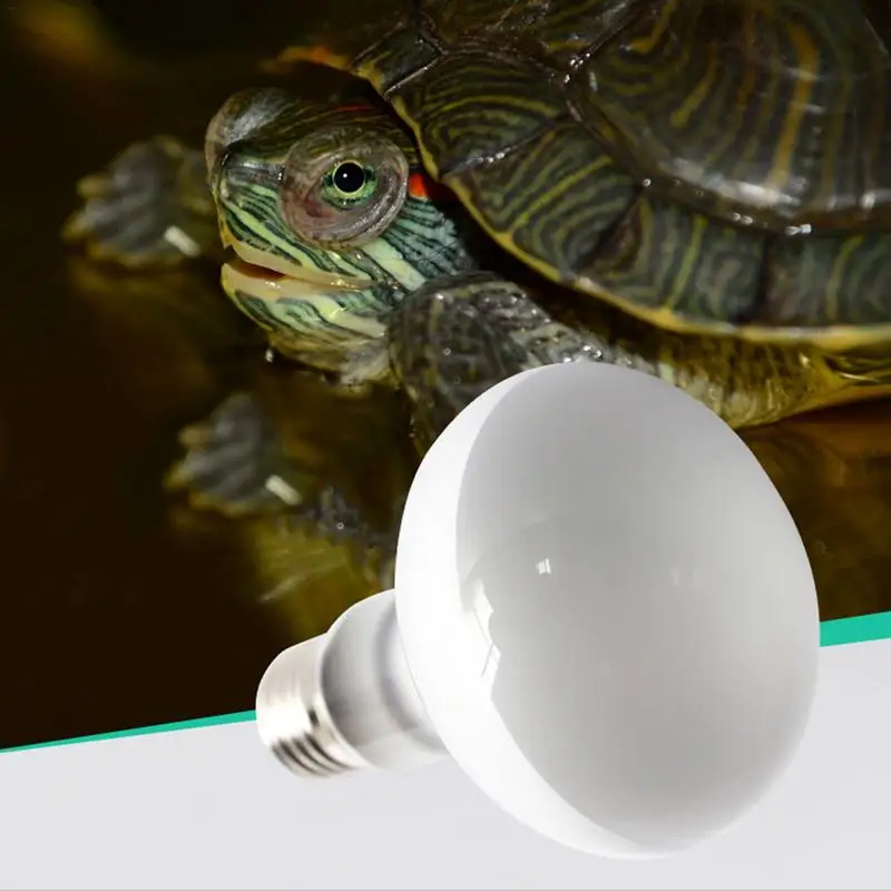 E27E26 100W Ceramic Heat Lamp Warm Quality Light Bulb For Small Pet Turtle Snake Reptile Brooder 220V