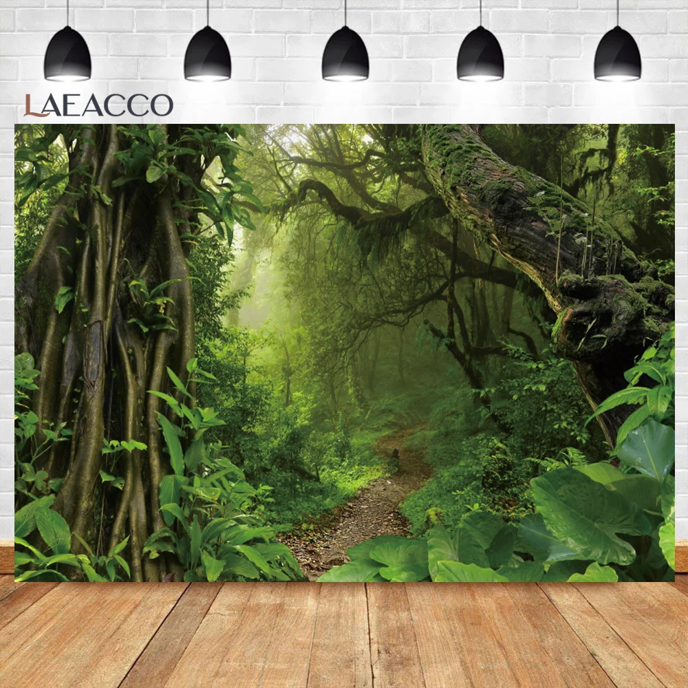 خلفية تصوير الغابات الاستوائية ، الربيع ، الغابة ، المطر ، الأوراق الخضراء ، المناظر الطبيعية الخلابة ، ديكور الغرفة ، الخلفيات ، استوديو الصور