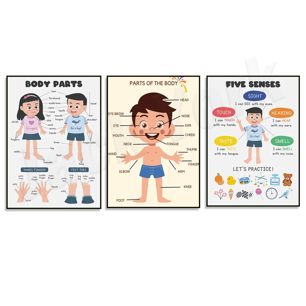 (2D-Leinwandgemälde) Poster mit den fünf Sinnen, Körperteilen, Anatomie-Poster, Poster zur frühkindlichen Bildung, Druck „Mein Körper“, Vorschulposter