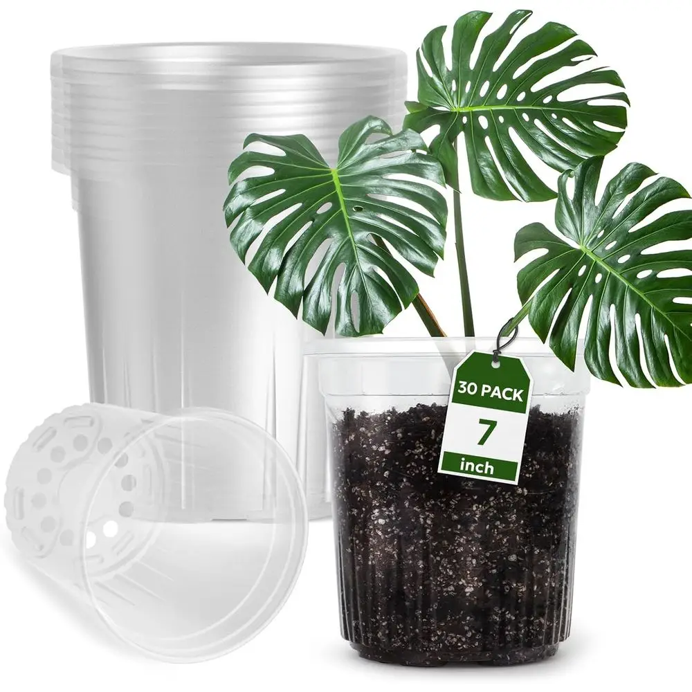 30 Packs 1 Gallon Clear Reinforced Nursery Pots with Drainage, 7 Inch Plastic Planters for Seedlings, Propagation, and Root Cutt