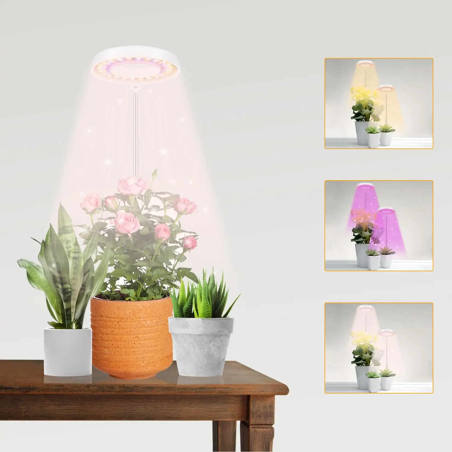 USB Angel Ring Grow Light Phytolamp for Plants with Control Full Spectrum Fitolamp Lights Home Flower Seedling Clip Phyto Lamp
