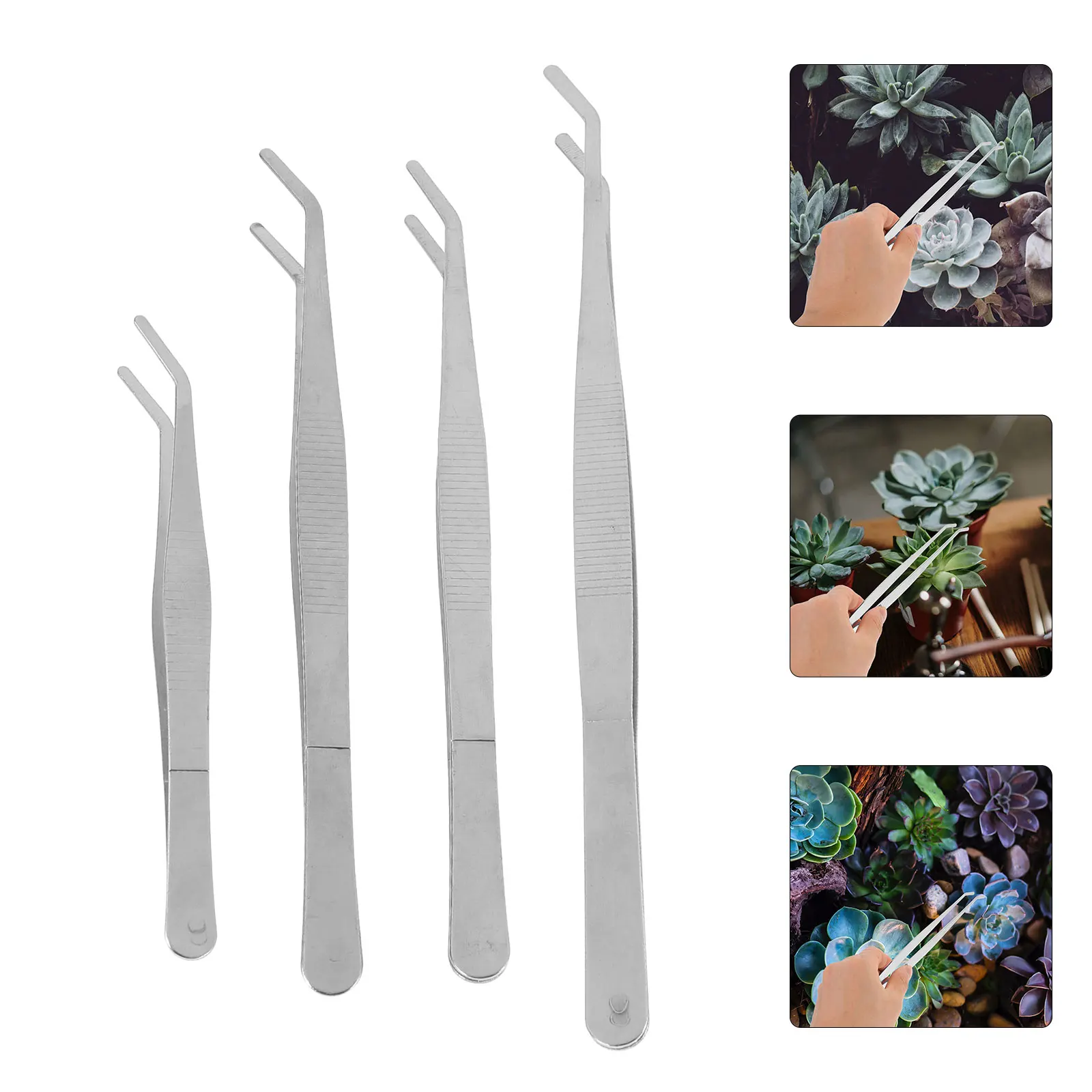 

4pcs Stainless Steel Tweezers Long H Garden Tool for Succulents Mini Kit Gardening Plant Bonsai Portable Spade