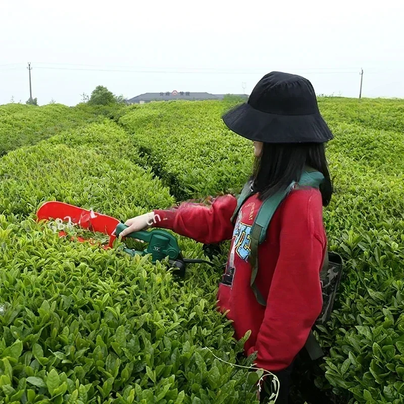 Best Selling Agricultural Model Mini Handheld Tea Picker  Tea Harvester Machine Portable Tea Picking Tool