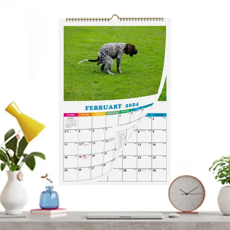 Dog Pooping Calendar 2024 Dogs Pooping In Beautiful Places 2024 Calendar Funny Dog Calendar Gag Gifts Pooping Dog Wall Calendar