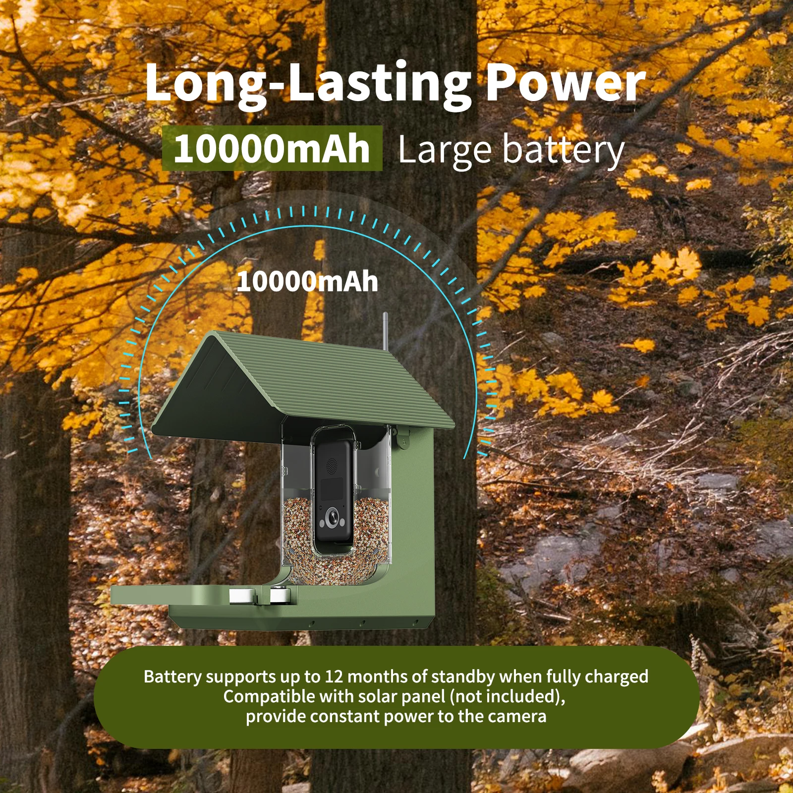 4K AI Smart Bird Feeder Camera - Smart Garden Ai 评论和价格