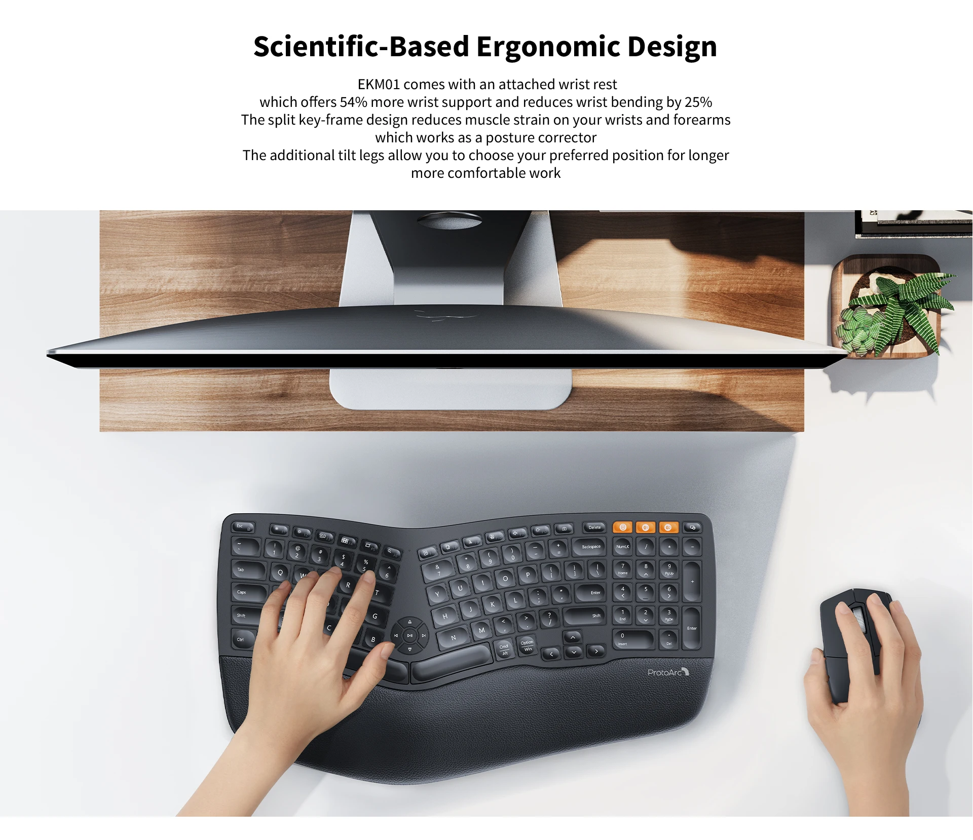 ProtoArc EKM01 Ergonomic Wireless Ultra-slim Mute Office Slim 2.4g Keyboards And Mice Set Keyboard And Mouse