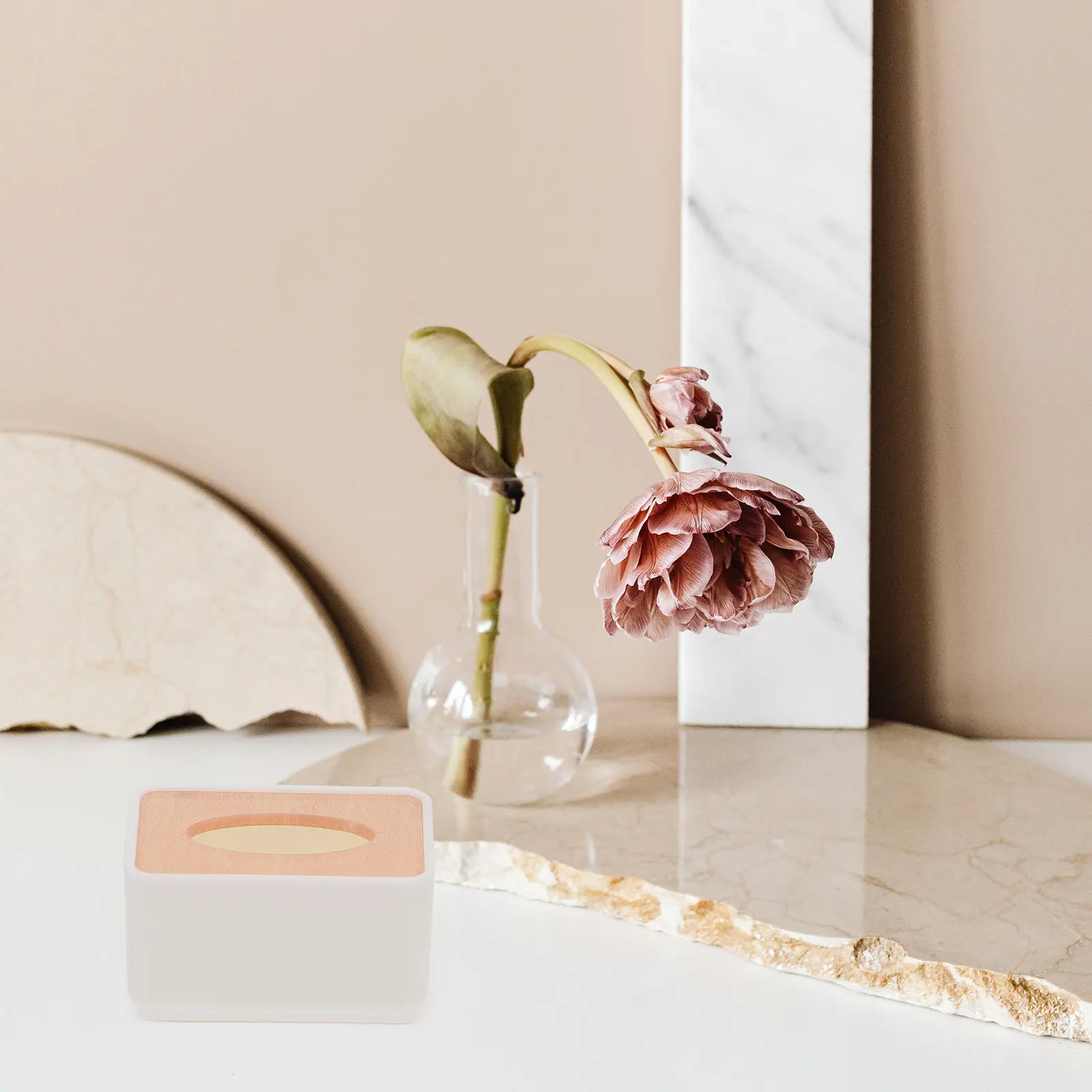 

2Pcs Miniature House Tissue Box Plastic Simple Paper Storage Container Decoration DIY Household Ornament for Photo Props and