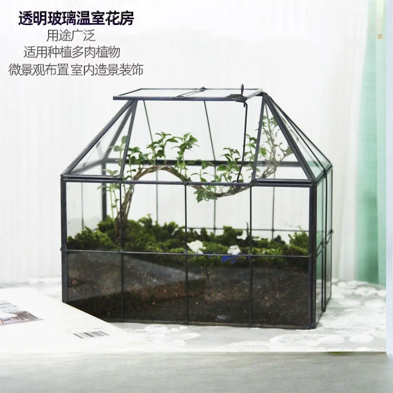 Creative Gardening Glass Greenhouse with Micro Landscape Decoration