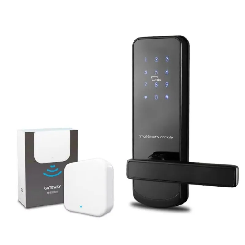 

Приложение TTlock с цифровым паролем, электронный умный замок без ключа для отеля, дверной замок