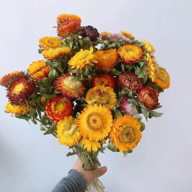 

Dried Flower Bouquet, Eternal Flower Decorations, Living Room, Bedroom Decoration, Daisy Gold ball, And Sky Stars