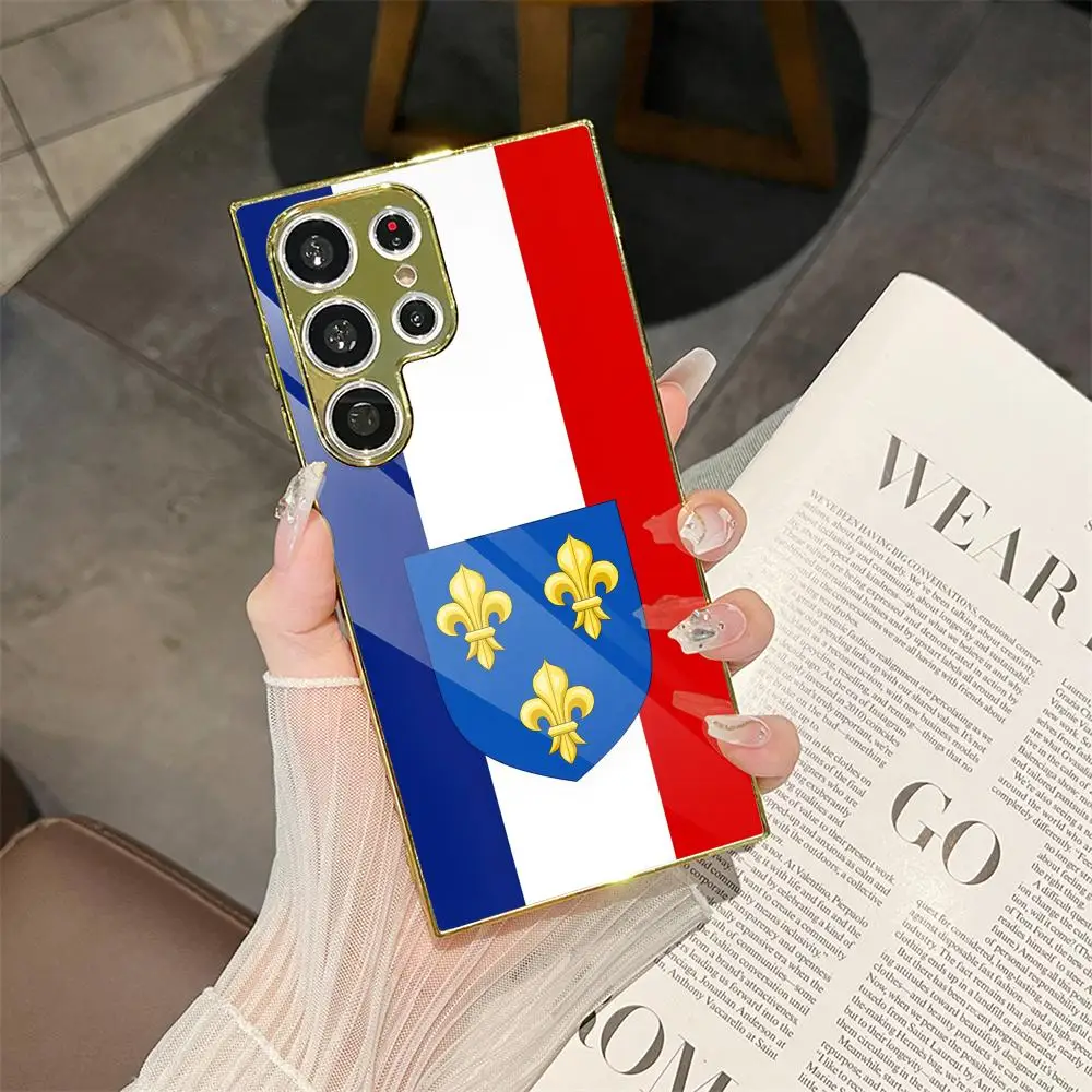 

Anjou Flag French Region Phone Case For Samsung Galaxy S25 S24 S23 Ultra Electroplated Metal Case Glass Back Cover