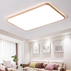 (129) Living room full spectrum eye protection ceiling lamp original wood pastoral style whole house lamps