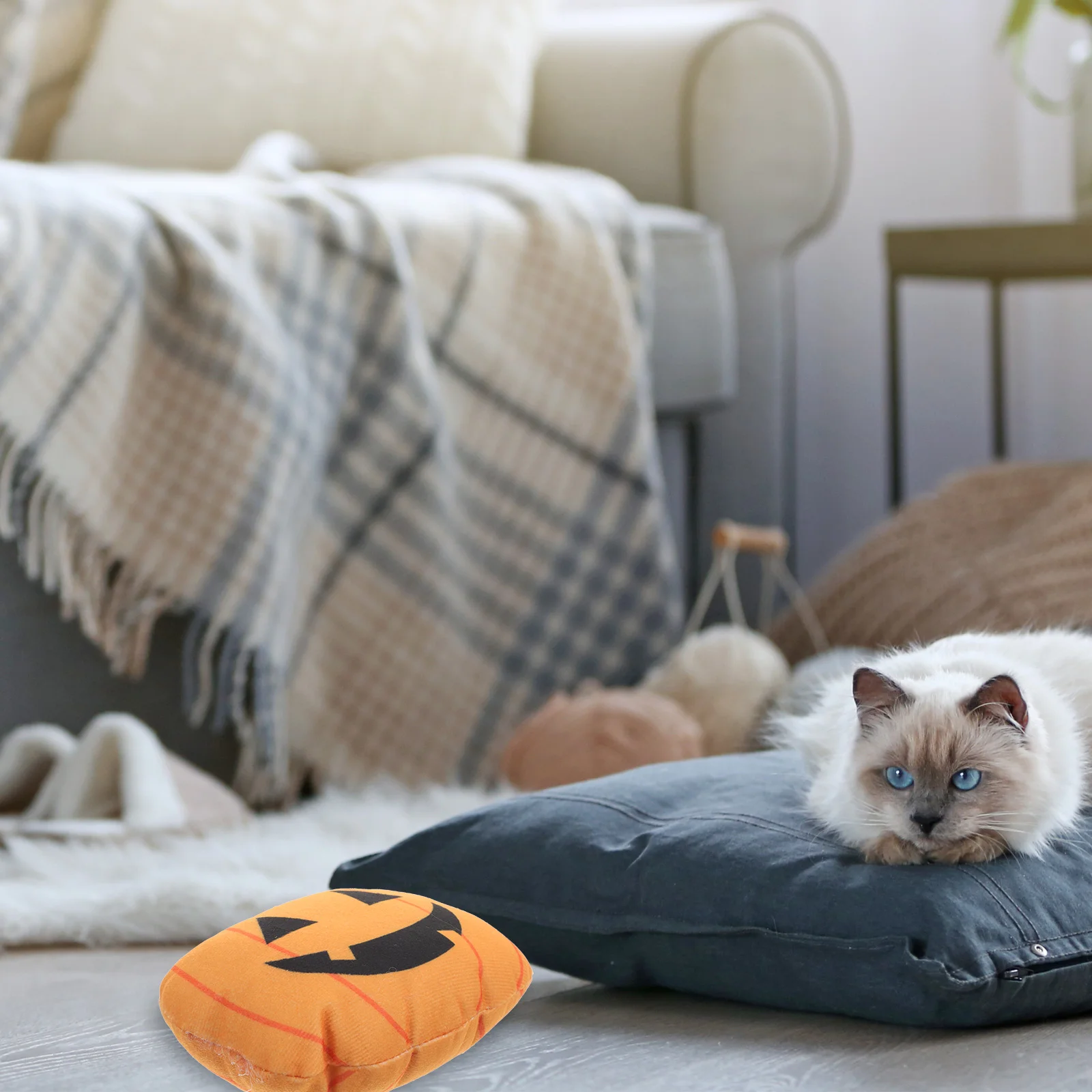 

Pet Plush Toys For Cats Catnip Pumpkin Indoor Biting Playthings Molar Kitten