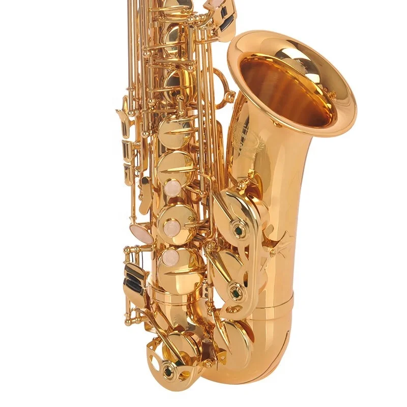 Professional E Flat Tenor Saxophone in Brass with Gold Double Key Rib and Abalone Button Upgraded Instrument