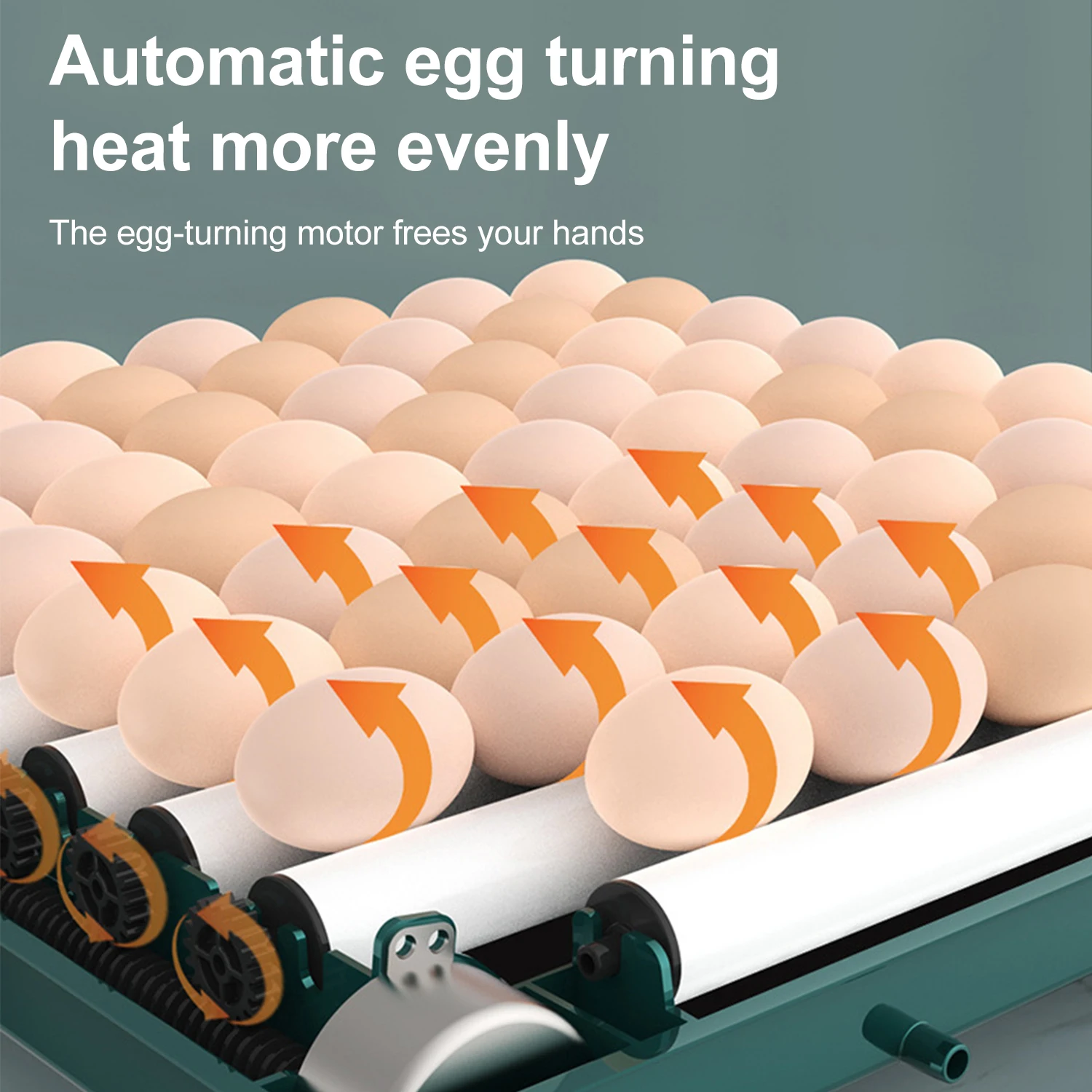 9/15/30/48 Eggs Incubator With Automatic Egg Turning Humidity Monitoring Temperature Control  Automatic Intelligent Incubator