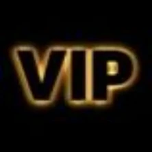 VIP Customized Link Customized *1 image 2